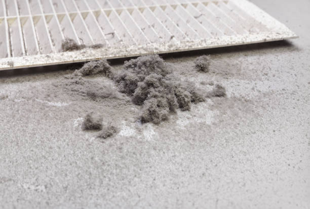 Best Affordable Air Duct Cleaning  in Folkston, GA