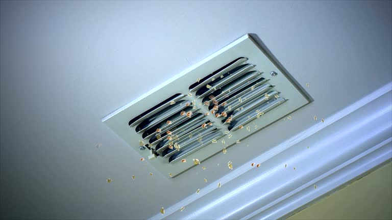 Ductwork Cleaning Services in GA