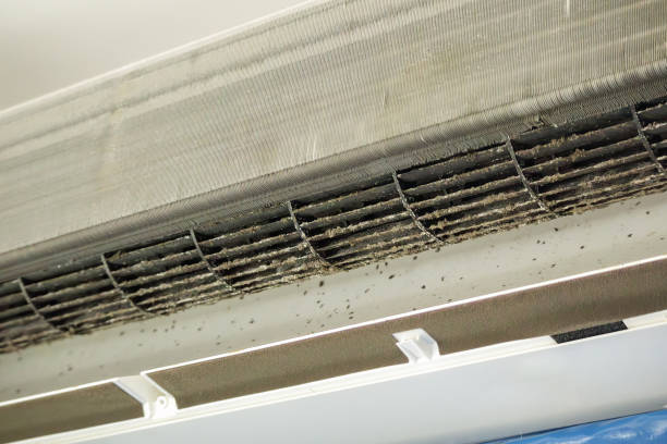 Best Local Air Duct Cleaning Services  in Folkston, GA